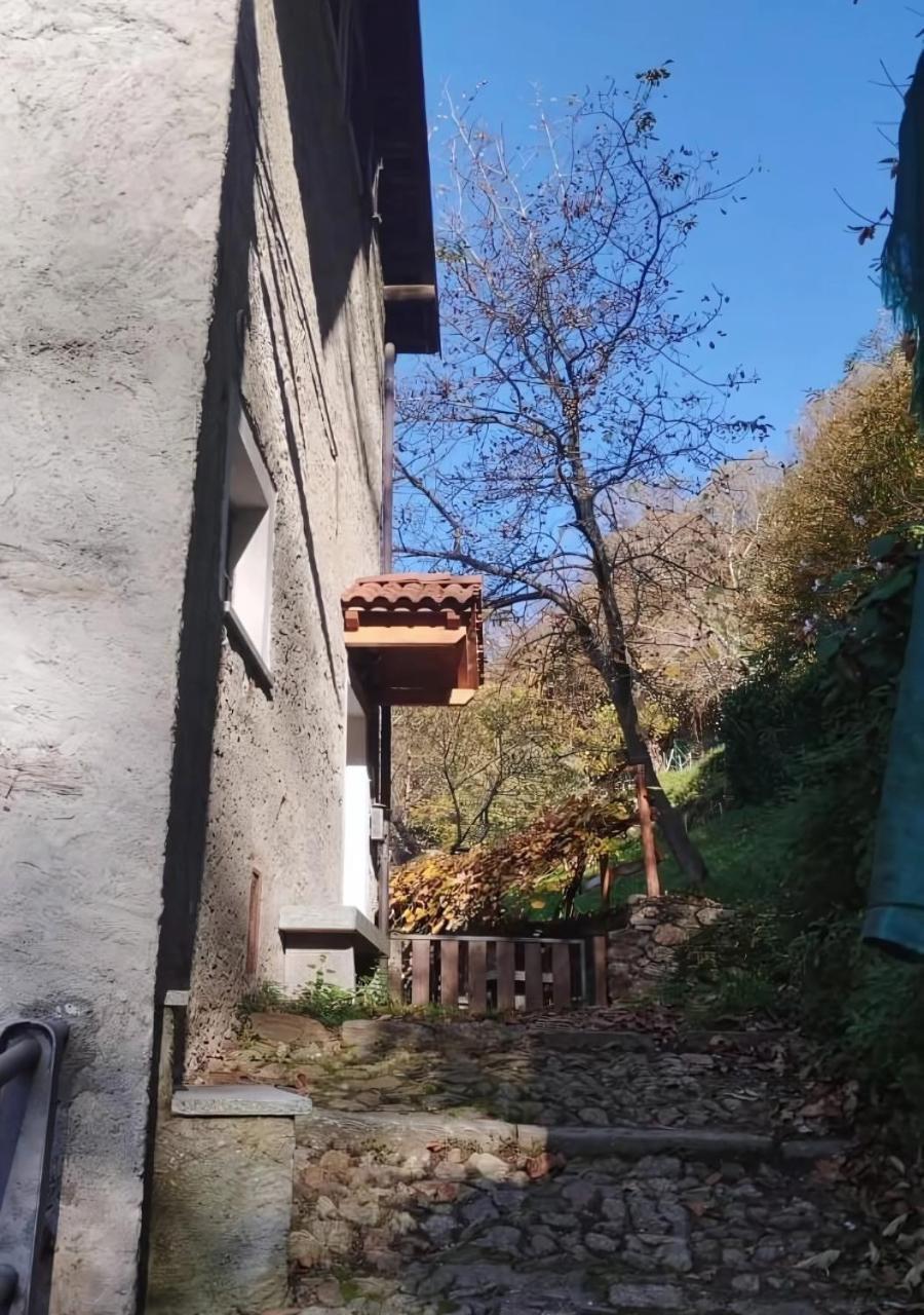 Alpaca'S House: Green, Animals & Lake View Bellano Exteriér fotografie